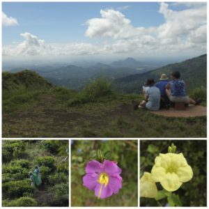 vue sur les montagnes au sommet du little adam’s peak